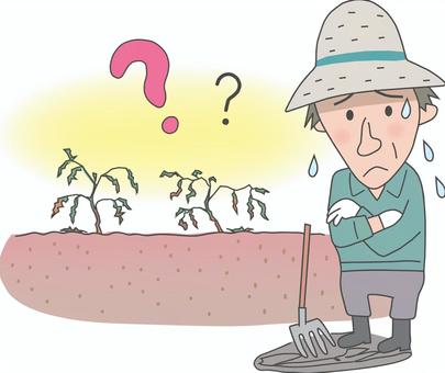 不作 不作,農作物,枯れる,気候変動,？,困る,辛い,悩む,不安,汗のイラスト素材