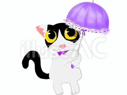 ハチワレちゃん日傘