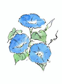 絵手紙風の青い朝顔 朝顔,花,植物,夏,7月,8月,青,葉,蔓,蕾のイラスト素材