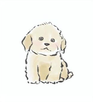 ラブラドールの赤ちゃん