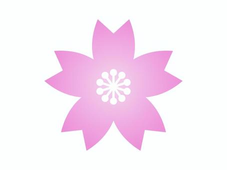 桜アイコン