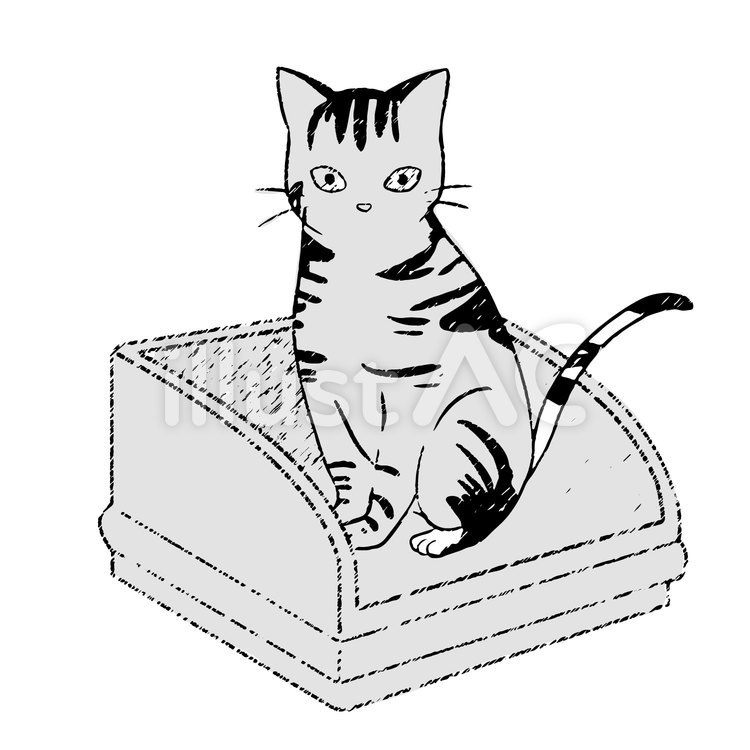 トイレを使うネコ ネコ,猫,動物のイラスト素材