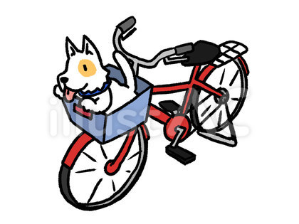 自転車のカゴに犬