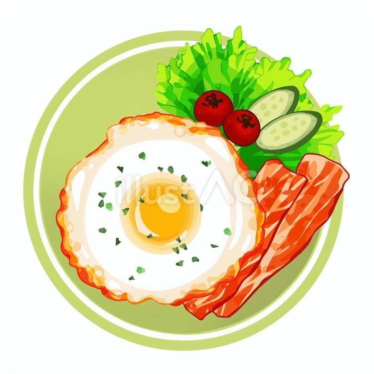 目玉焼き＆ベーコン　皿乗せ 目玉焼き,ベーコン,野菜のイラスト素材