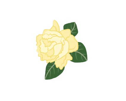 バラ02 黄色,バラ,花,植物,園芸,自然,手書き,ゆるいのイラスト素材