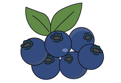 新鮮なブルーベリーの房