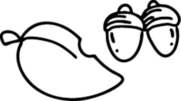 葉っぱとドングリ 葉っぱ,ドングリ,木の実,植物,秋,９月,１０月,１１月,かわいい,シンプルのイラスト素材