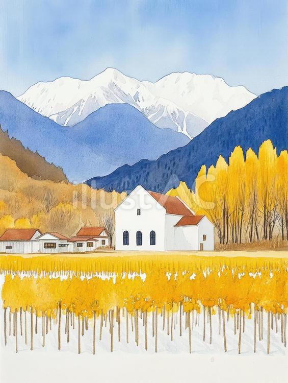 初冬の長野県の風景、雪山と紅葉の森 雪山,紅葉,秋のイラスト素材