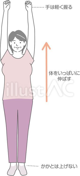 キレイな姿勢 姿勢,ストレッチ,運動のイラスト素材