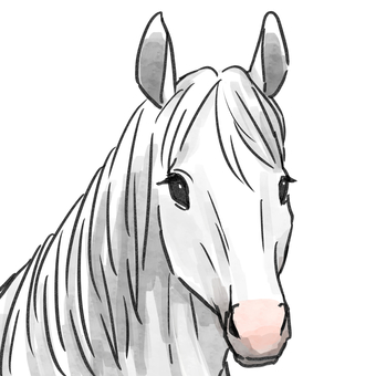 白馬 馬,白馬,動物,草食動物,かわいい,手描き,水彩のイラスト素材