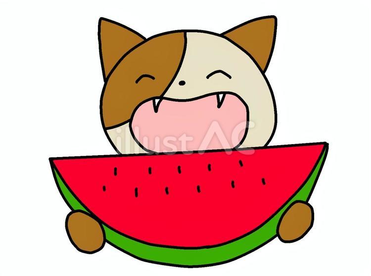 スイカを食べる猫 スイカ,猫,食べるのイラスト素材