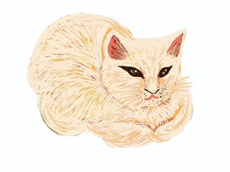 ふわふわな猫 猫,一匹,白い,全身,横向きのイラスト素材