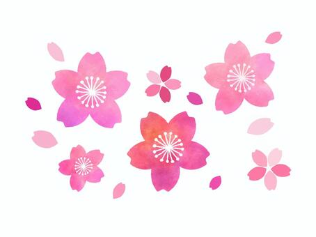 桜の花セット　ピンク　水彩風 桜,花びら,さくら,梅,ピンク,桜吹雪,入学,卒業,お祝い,マークのイラスト素材