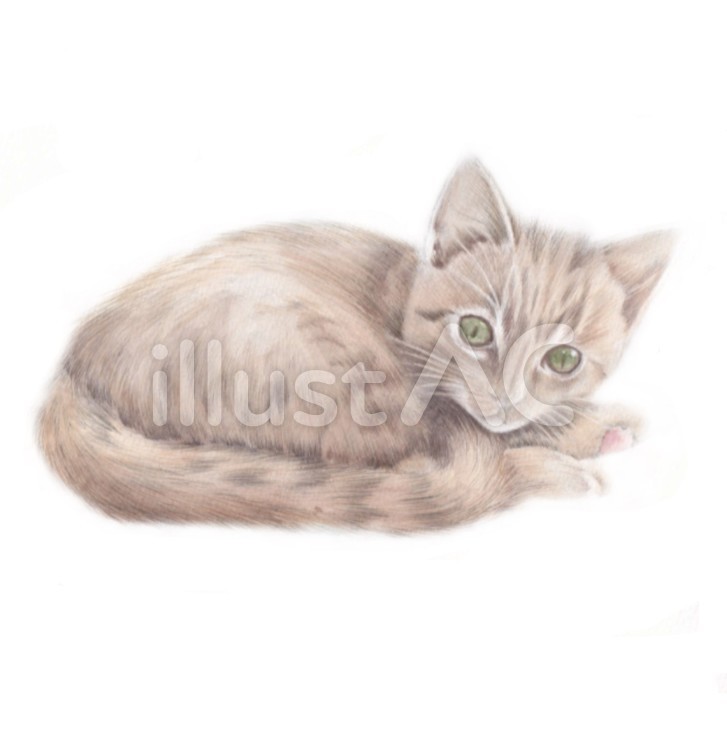 neko5 猫,水彩,手描きのイラスト素材