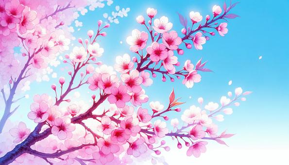 春の桜の背景素材