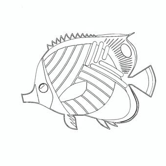 トゲチョウチョウウオ(ぬりえ) トゲチョウチョウウオ(ぬりえ) 魚,海,鑑賞魚のイラスト素材