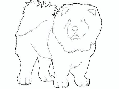 チャウ・チャウ　線画 チャウチャウ,大型犬,中国,犬,いぬ,線画,線,全身,シンプル,デザインのイラスト素材