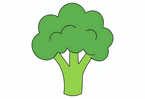 ブロッコリーの健康食素材