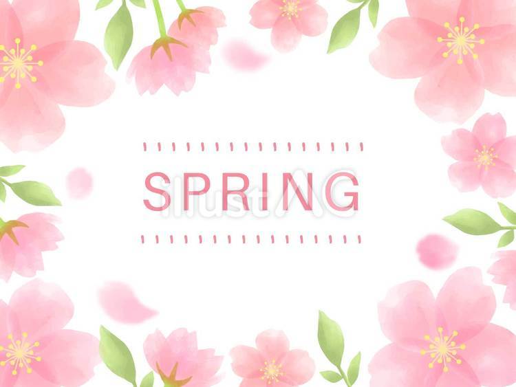 桜　背景　フレーム　水彩 かわいい,おしゃれ,ピンクのイラスト素材