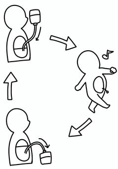 腹膜透析のサイクル　線画 腹膜透析,貯留,注入,排出,線画のイラスト素材