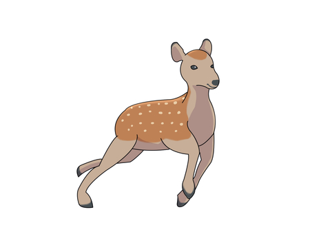 ニホンジカ(走る) ニホンジカ(走る) ニホンジカ,鹿,動物,奈良,走るのイラスト素材