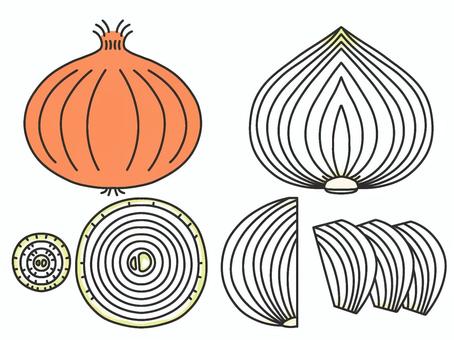 たまねぎ　色あり たまねぎ,輪切り,デフォルメ,シンプル,緑のイラスト素材