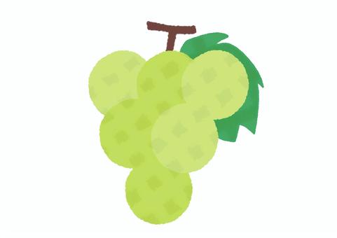 Illustration, muscat, grape, fruit, 