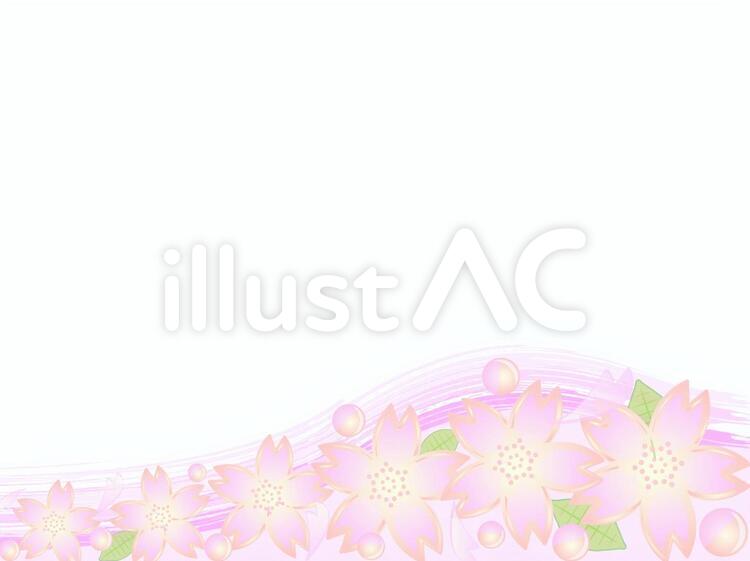 桜背景22 桜の花,白背景,白バックのイラスト素材