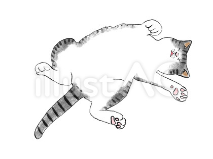 ねこ へそ天 02 サバトラ