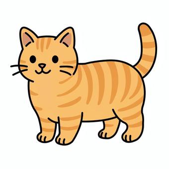 マンチカン マンチカン マンチカン,猫,ペット,胴長,短足,かわいい,茶トラ,レッドタビーのイラスト素材