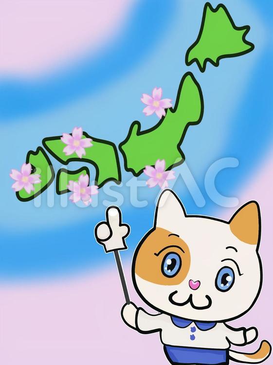 ねこちゃんのさくらぜんせん 桜,前線,春のイラスト素材