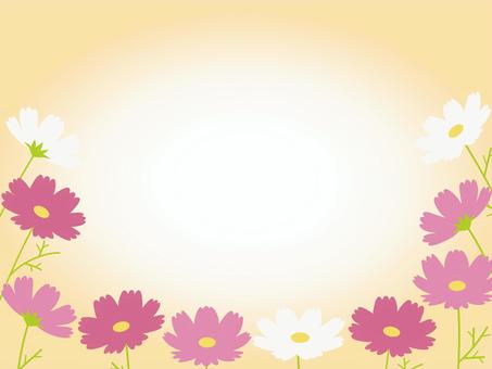 コスモスフレーム/オレンジ シンプル,ベクター,コスモス,花,ポスター,素材,9月,10月,11月,華やかのイラスト素材