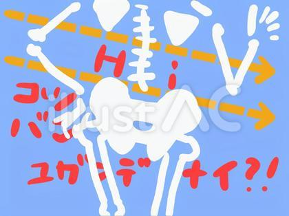 骸骨 歪み 骨盤