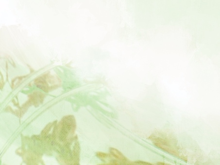 淡彩ステンドグラスgreen 05 光,淡色,レトロ,透明感,ステンドグラス,グラデーション,淡彩,風,空気感,ノスタルジックのイラスト素材