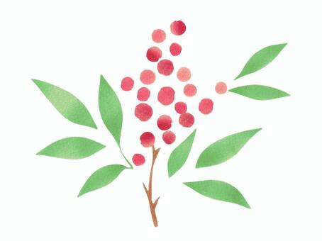 南天　水彩風　グリーンリーフ② 南天,年賀状,年末年始,冬,秋,年賀,縁起物,正月飾り,和風,伝統のイラスト素材