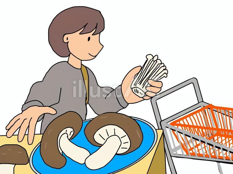 秋の旬のキノコ類を買う女性 キノコ,しいたけ,秋のイラスト素材