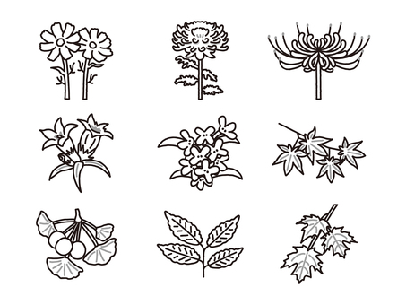 秋の植物セット_線 コスモス,菊,彼岸花,リンドウ,金木犀,曼珠沙華,紅葉,楓,銀杏,イチョウのイラスト素材