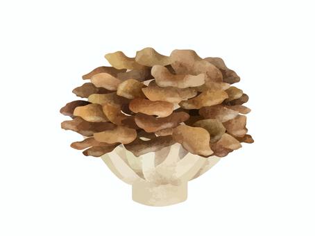 まいたけベクター素材 きのこ,まいたけ,食材,水彩,手描き,手書き,素材,ベクター,背景透過,シンプルのイラスト素材