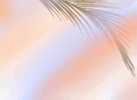 Gradient background with feathers, JPG Gradient background with feathers, background, gradation, silhouette, JPG