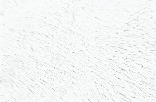 白い繊維質テクスチャ テクスチャ,背景,壁紙,白,モノクロ,シンプル,ミニマル,繊維,布地,ファブリックのイラスト素材