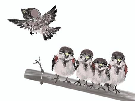 スズメの兄弟 スズメ,小鳥,カワイイ,野鳥,竹,雀,かっこいい,渋い,おしゃれ,モダンのイラスト素材