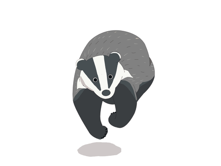 ヨーロッパアナグマ（走る・主線なし） ヨーロッパアナグマ,アナグマ,動物,ヨーロッパ,走る,主線なしのイラスト素材