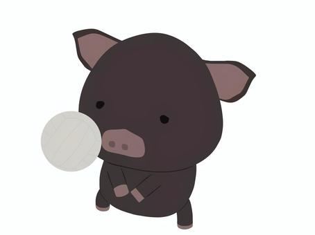バレーボール_豚 バレーボール,ブタ,黒豚,動物,かわいい,スポーツのイラスト素材