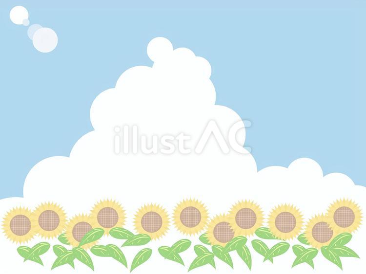 ひまわり畑 夏,ひまわり畑,フレームのイラスト素材