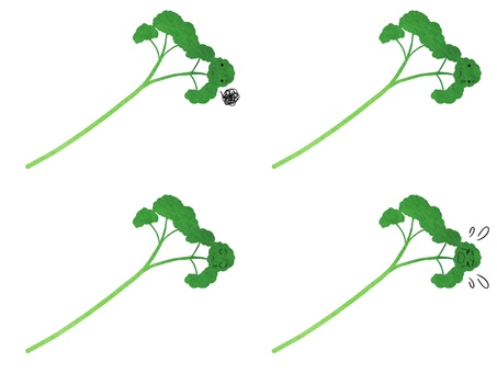 Illustration, parsley, herbs, vegetables, 