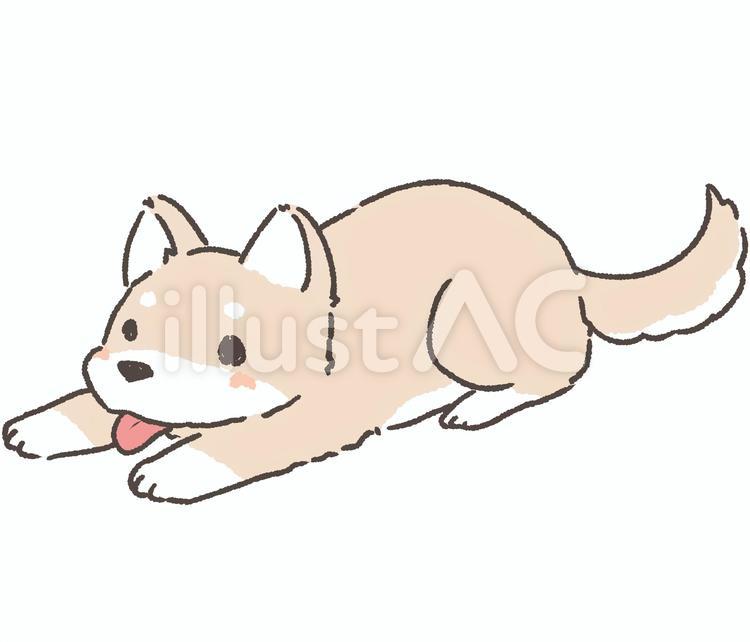 ふせをしている犬イラスト No 無料イラストなら イラストac
