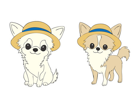 麦わら帽子をかぶったチワワ チワワ,犬,いぬ,ワンちゃん,小型犬,愛犬,ペット,動物,アニマル,犬種のイラスト素材