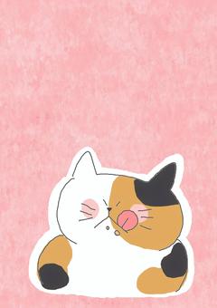 ごちそうさま三毛猫ちゃん ごちそうさま三毛猫ちゃん かわいい,ごちそうさま,おいしい,食べる,食事,ごはん,満足,満腹,うまい,ねこのイラスト素材
