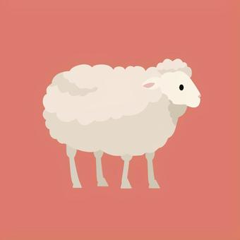 白い羊のイラスト 羊,哺乳類,羊毛,家畜,ヒツジ,干支,ひつじ,牧場,自然,動物のイラスト素材