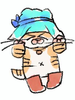 Cat wearing a hat, cat, animal, tea tiger, JPG and PNG